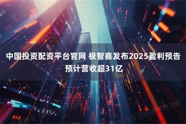 中国投资配资平台官网 极智嘉发布2025盈利预告 预计营收超31亿