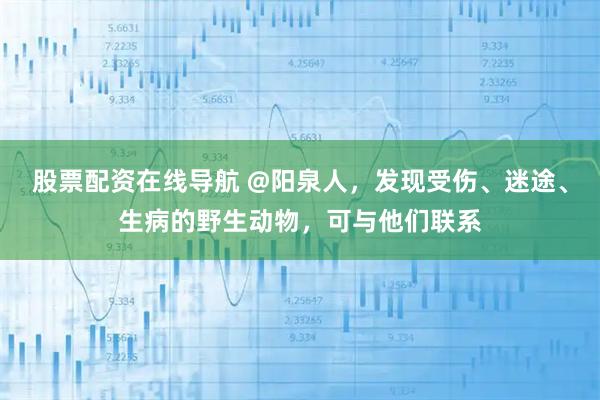 股票配资在线导航 @阳泉人，发现受伤、迷途、生病的野生动物，可与他们联系