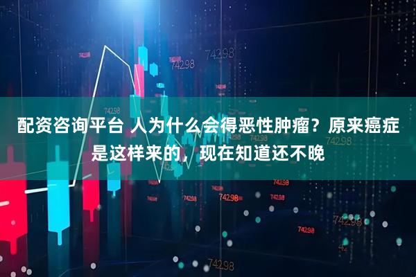 配资咨询平台 人为什么会得恶性肿瘤?原来癌症是这样来的,现在知道还不晚