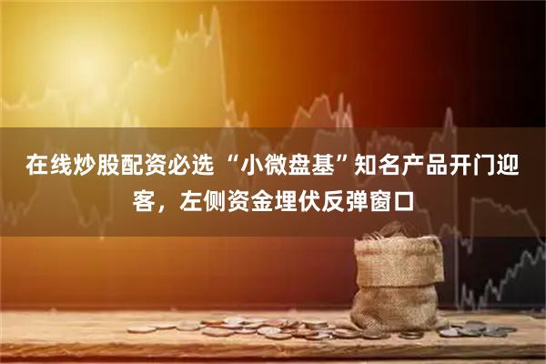 在线炒股配资必选 “小微盘基”知名产品开门迎客，左侧资金埋伏反弹窗口