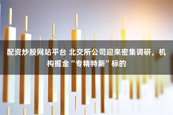 配资炒股网站平台 北交所公司迎来密集调研，机构掘金“专精特新”标的